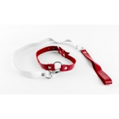 Бело-красный чокер из натуральной кожи с поводком - БДСМ Арсенал - купить с доставкой в Подольске
