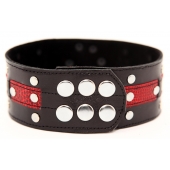 Чёрно-красный ошейник с клёпками - БДСМ Арсенал - купить с доставкой в Подольске