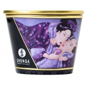 Массажная свеча Exotic Fruits с ароматом экзотических фруктов - 170 мл. - Shunga - купить с доставкой в Подольске