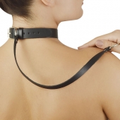 Леопардовый меховой ошейник с кожаным поводком - Sitabella - купить с доставкой в Подольске