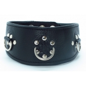 Чёрный кожаный ошейник с полукольцами и клёпками - БДСМ Арсенал - купить с доставкой в Подольске