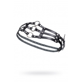 Черный кожаный пояс с кольцами - Pecado - купить с доставкой в Подольске