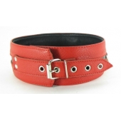 Черно-красный кожаный ошейник увеличенного размера - БДСМ Арсенал - купить с доставкой в Подольске