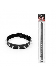 Черный ошейник с серебристыми шипами - Notabu - купить с доставкой в Подольске