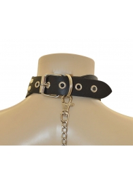 Ошейник  Веселый Роджер - Sitabella - купить с доставкой в Подольске