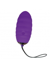 Фиолетовое виброяйцо с пультом ДУ Ocean Breeze 2.0 + LRS - Adrien Lastic