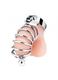 Серебристая клетка для члена Urethral Play Cage - BlueLine - купить с доставкой в Подольске