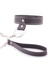 Узкий однослойный ошейник с поводком - Crazy Handmade - купить с доставкой в Подольске