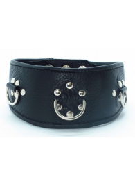 Чёрный кожаный ошейник с полукольцами и клёпками - БДСМ Арсенал - купить с доставкой в Подольске
