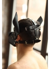 Эффектная маска собаки с металлическими заклепками - БДСМ Арсенал - купить с доставкой в Подольске