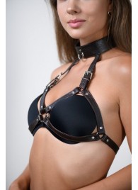 Коричневая сбруя для груди с ошейником - БДСМ Арсенал - купить с доставкой в Подольске