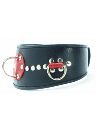 Кожаный ошейник с металлическими клепками - БДСМ Арсенал - купить с доставкой в Подольске