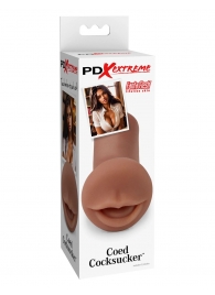 Мастурбатор-ротик Coed Cocksucker - Pipedream - в Подольске купить с доставкой