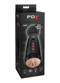 Мастурбатор-вагина с вибрацией Dirty Talk Starter Stroker - Pipedream - в Подольске купить с доставкой