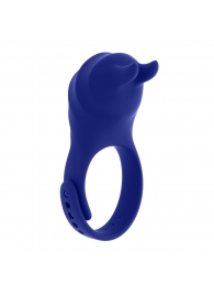 Синее эрекционное виброкольцо с клиторальной подушечкой и пультом ДУ Adjustable Fun Ring - Zero Tolerance - в Подольске купить с доставкой