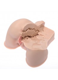 Мастурбатор-полуторс Naked Factory Kate - Naked Factory - в Подольске купить с доставкой