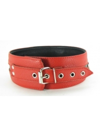 Черно-красный кожаный ошейник увеличенного размера - БДСМ Арсенал - купить с доставкой в Подольске
