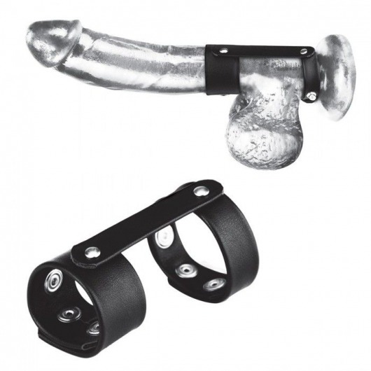 Двойной поддерживаюший ремень для пениса с заклепками - BlueLine - купить с доставкой в Подольске