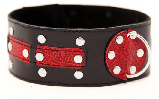 Чёрно-красный ошейник с клёпками - БДСМ Арсенал - купить с доставкой в Подольске