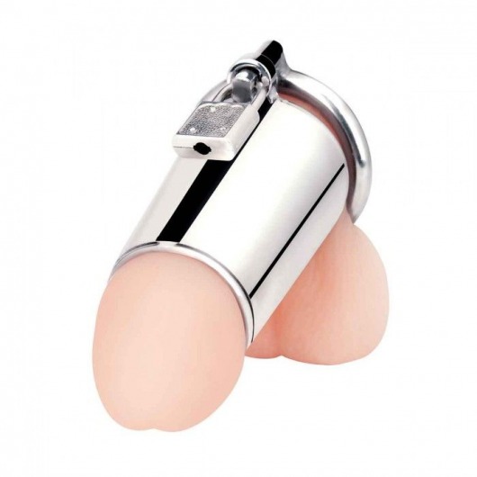 Серебристая сплошная клетка для фаллоса Ultimate Cock Tease Cage - BlueLine - купить с доставкой в Подольске