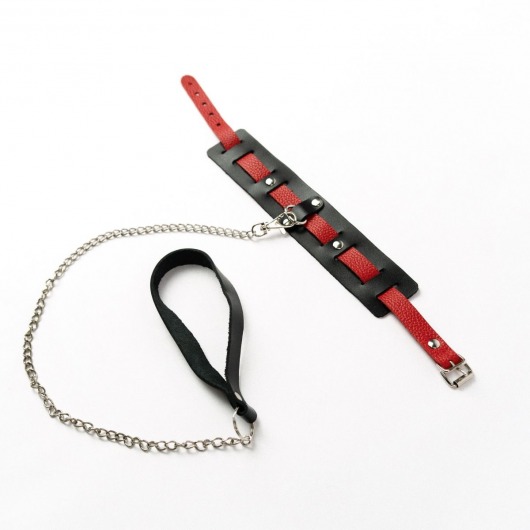 Черный ошейник с красным ремешком и поводком - Crazy Handmade - купить с доставкой в Подольске