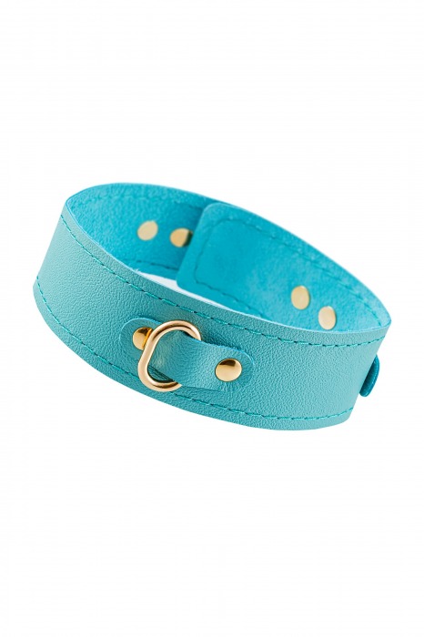 Голубой кожаный однослойный ошейник с прошивкой - Pecado - купить с доставкой в Подольске