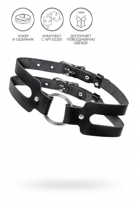 Черный кожаный чокер-ошейник из двух ремешков - Pecado - купить с доставкой в Подольске