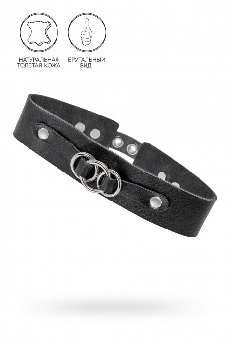Черный чокер-ошейник со связанными кольцами на подложке - Pecado - купить с доставкой в Подольске