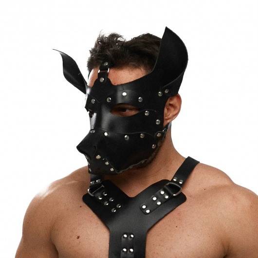 Черная кожаная маска «Собака» - Crazy Handmade - купить с доставкой в Подольске