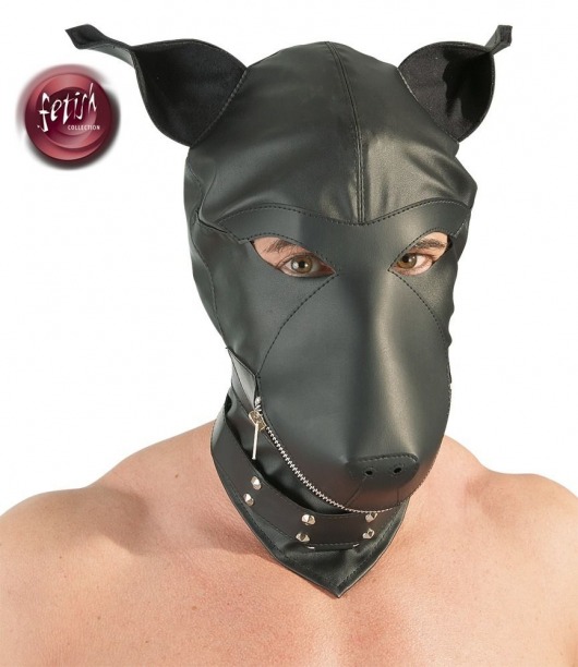 Шлем-маска Dog Mask в виде морды собаки - Orion - купить с доставкой в Подольске