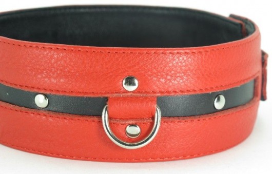 Черно-красный кожаный ошейник увеличенного размера - БДСМ Арсенал - купить с доставкой в Подольске