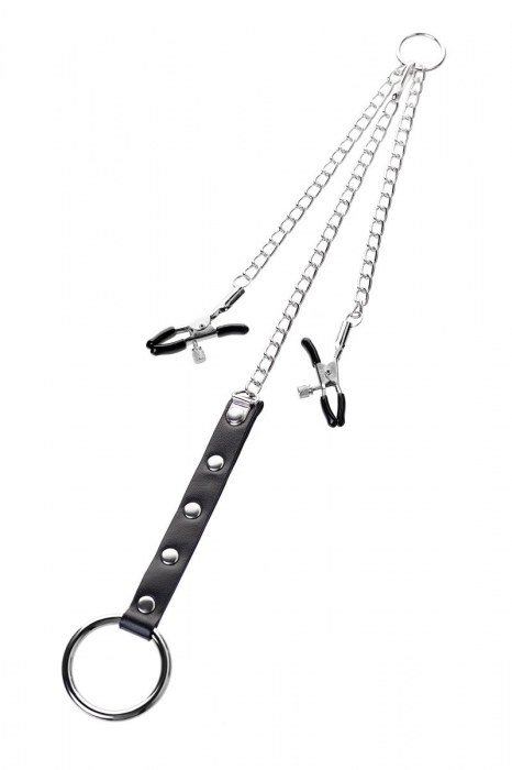 Серебристо-чёрные зажимы для сосков с кольцом для пениса TOYFA Metal - ToyFa - купить с доставкой в Подольске